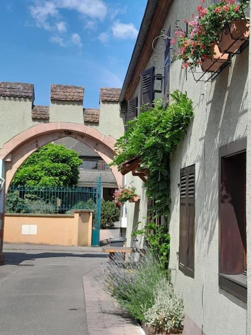 Gite Le3 Bergheim Esterno foto